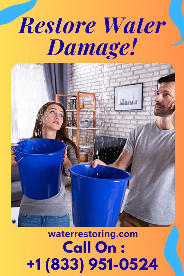 water restoration Priority Disaster Cleanup Inc Claysburg